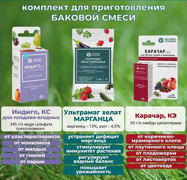 Комплект для приготовления боковой смеси