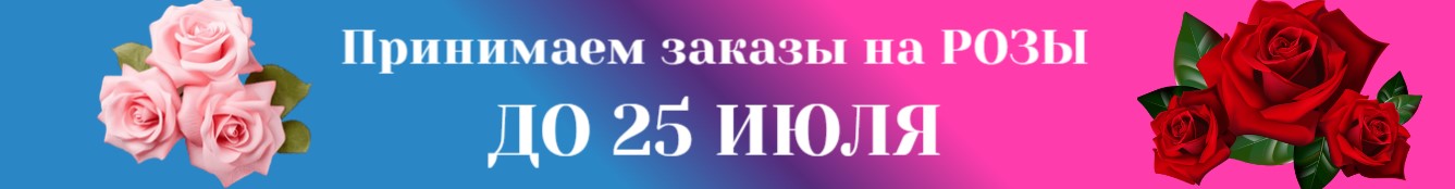 Заказы на РОЗЫ до 25 июля 2026