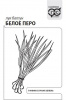 Лук На зелень Белое Перо Б/П GSH 0,5г (Р) (600)