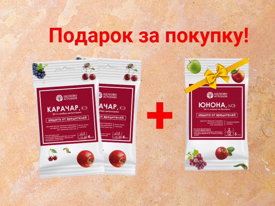 При покупке 2-х пакетов Карачар в подарок Юнона! При покупке 2-х пакетов Карачар в подарок Юнона!